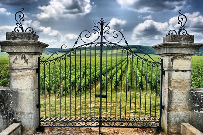 Saint Emilion Day Trip with Sightseeing Tour & Wine Tastings from Bordeaux - Saint-Émilion village: 45 minutes with a guide