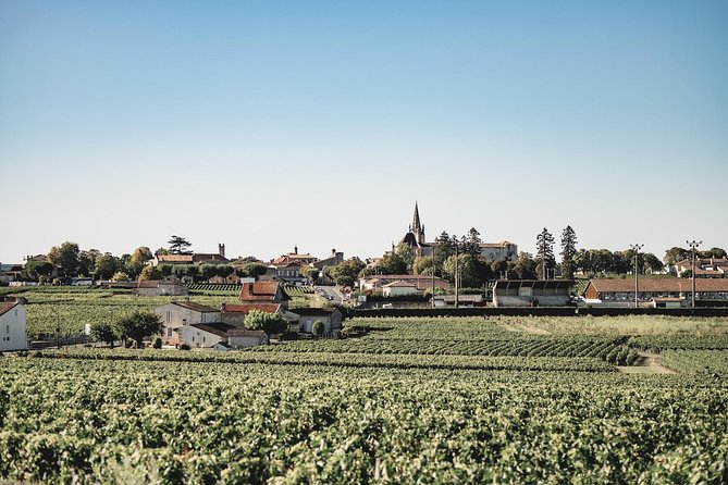 Saint-Emilion Electric Bike Day Tour with Wine Tastings & Lunch - Château Ambe Tour Pourret and the picnic lunch