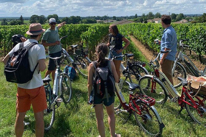 Saint Emilion Full Day Wine and Bike Tour - Walking Saint-Émilion’s medieval lanes