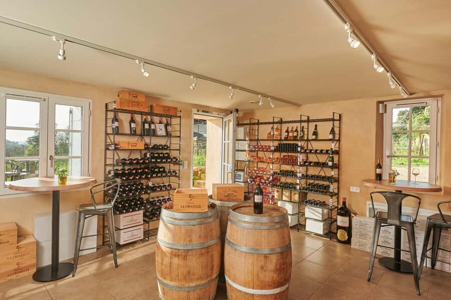 Saint-Emilion: Grand Cru Classé Gourmet Visit - Three wines with a guided tasting