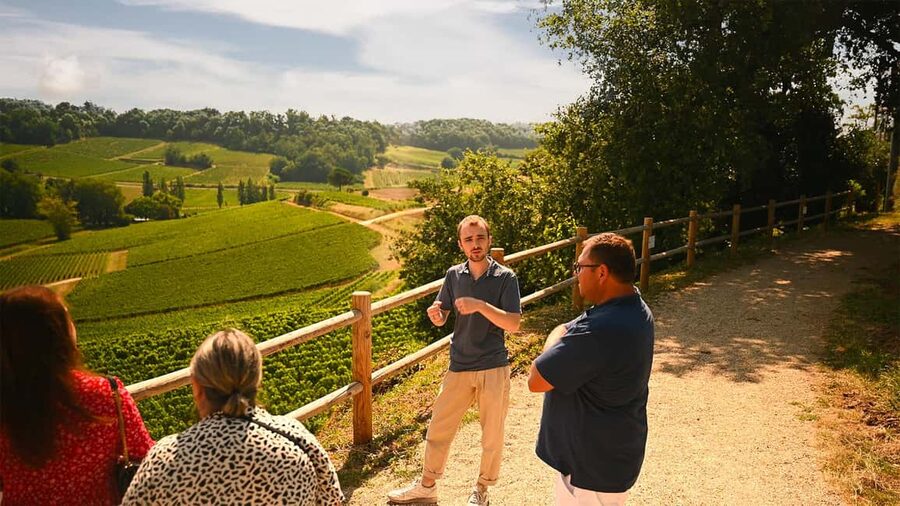 Saint-Émilion: Grand Cru Classé Winery Visit and Tasting - A useful contrast between Tour Baladoz and La Croizille