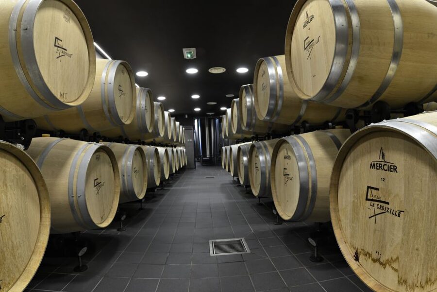 Saint-Émilion: Grand Cru Classé Winery Visit and Tasting - Who should book this winery visit?