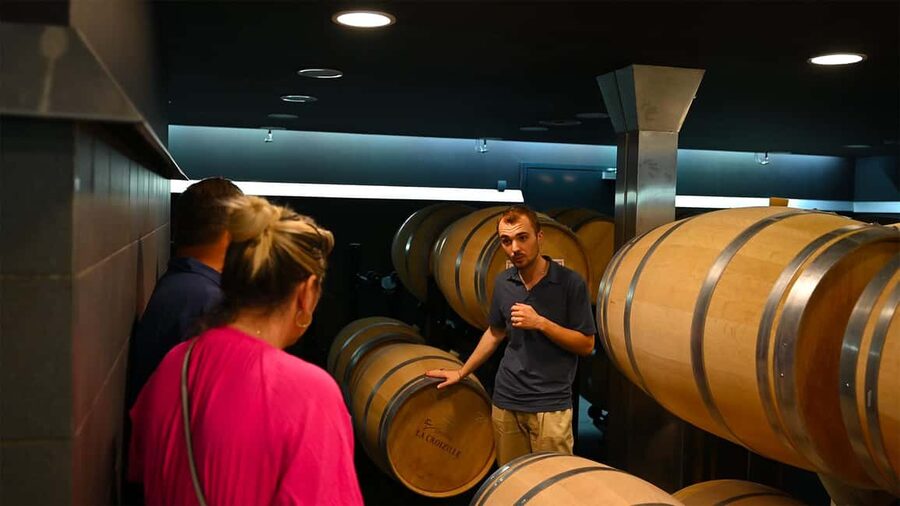 Saint-Émilion: Grand Cru Classé Winery Visit and Tasting - Is one hour enough?