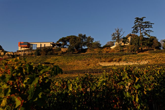 Saint-Emilion Grand Cru Classified: Visit & Tasting in French - What happens inside Château Tour Baladoz
