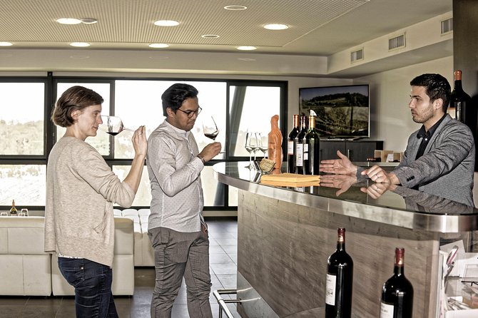 Saint-Emilion Grand Cru Classified: Visit & Tasting in French - Comparing Château La Croizille with Tour Baladoz