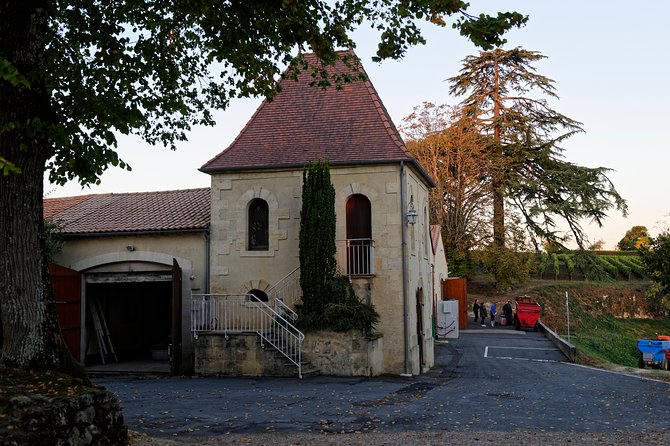 Saint-Emilion Grand Cru Classified: Visit & Tasting in French - Tasting three wines, including two Grand Cru selections