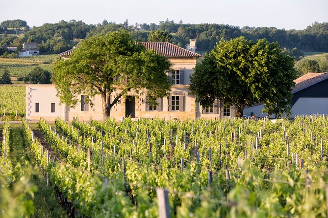 Saint Emilion Half-Day Trip with Wine Tasting & Winery Visit from Bordeaux - How the guides shape the afternoon