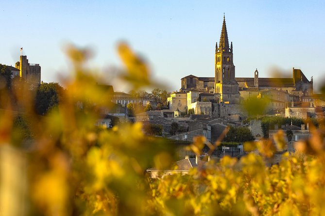 Saint Emilion Half-Day Trip with Wine Tasting & Winery Visit from Bordeaux - What the grand cru château adds