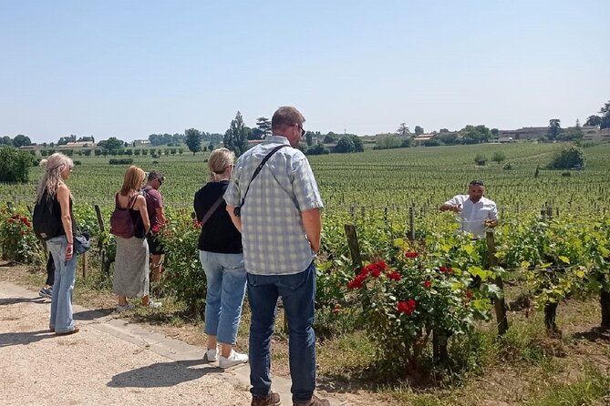 Saint Emilion Morning Wine Tour - Winery & Tastings from Bordeaux - How much interaction should you expect?