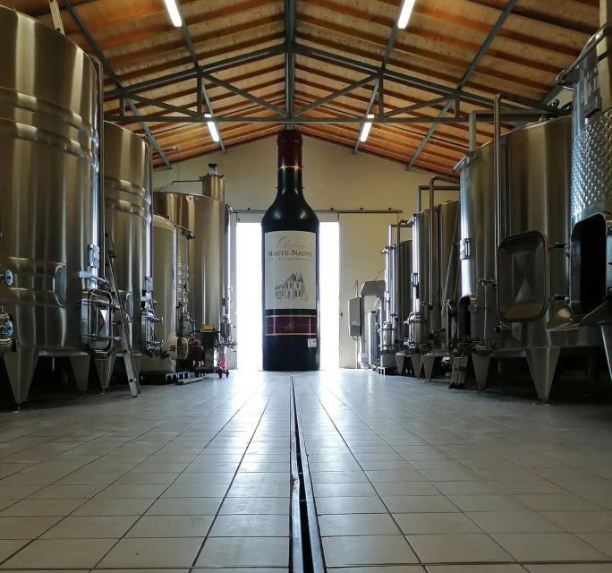 Saint-Émilion: Vineyard Walking Tour and Tasting - Key points at a glance