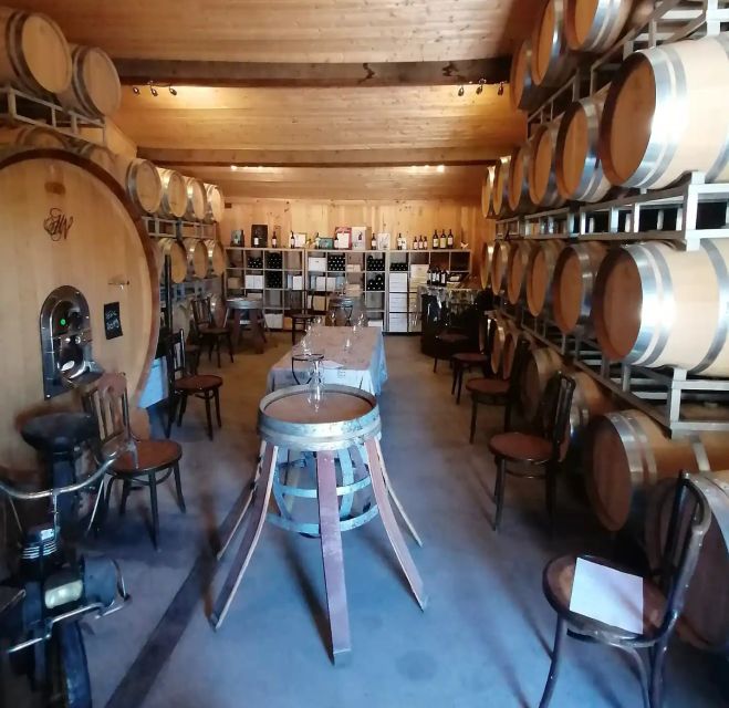 Saint-Émilion: Vineyard Walking Tour and Tasting - Why this family vineyard feels different