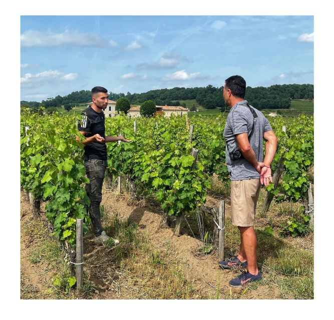 Saint-Émilion: Vineyard Walking Tour and Tasting - Barrels, ageing, and the path to the bottle