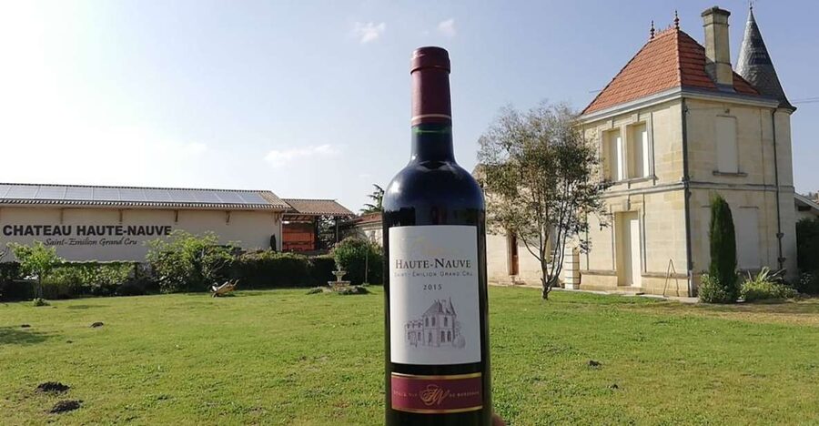 Saint-Émilion: Vineyard Walking Tour and Tasting - Four wines, including two Grand Crus
