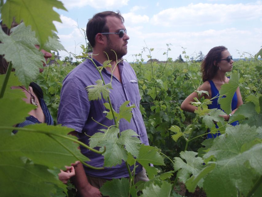 Saint-Émilion: Vineyard Walking Tour and Tasting - Starting among the Saint-Émilion vines