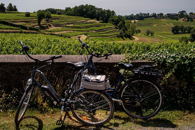 Saint-Émilion Wine Tour By Premium Electric Bike, Lunch Included - Key points at a glance