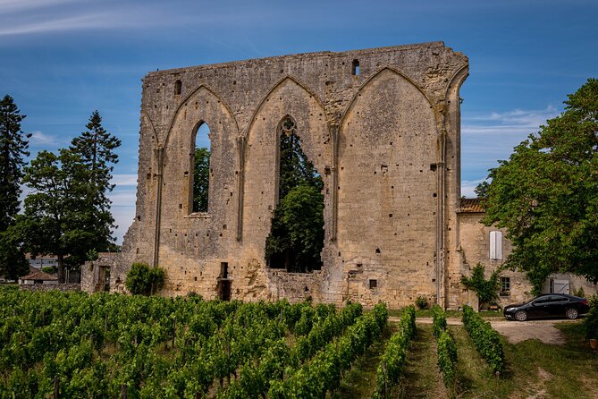 Saint-Émilion Wine Tour By Premium Electric Bike, Lunch Included - Who will enjoy this day most