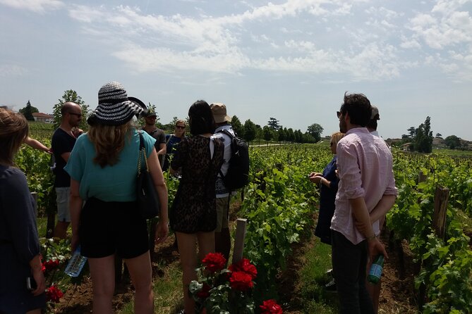 Saint Emilion Wine Tour Tasting Half Day from Bordeaux - From Place de Stalingrad to the Saint-Émilion vineyards