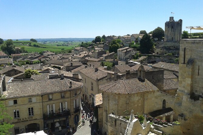 Saint Emilion Wine Tour Tasting Half Day from Bordeaux - What the two winery visits actually add