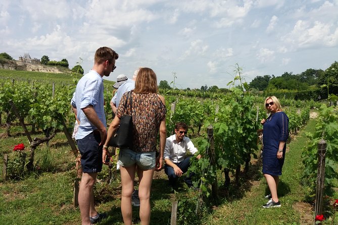 Saint Emilion Wine Tour Tasting Half Day from Bordeaux - How the schedule fits into five hours