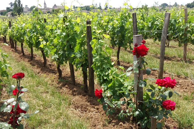 Saint Emilion Wine Tour Tasting Half Day from Bordeaux - Guides, pace, and the small-group feel
