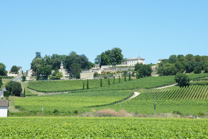 Saint Emilion Wine Tour Tasting Half Day from Bordeaux - Who should book this half-day tour?