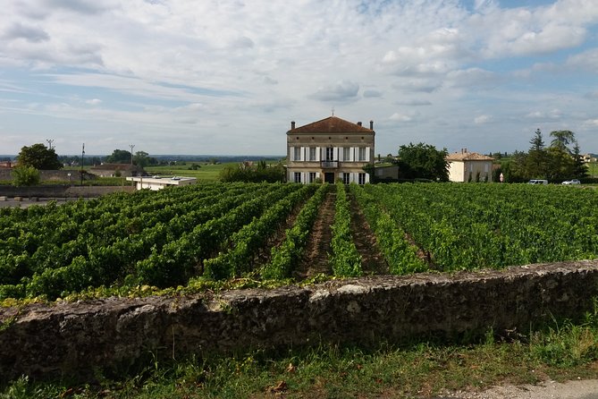Saint Emilion Wine Tour Tasting Half Day from Bordeaux - Should you book Saint-Émilion from Bordeaux?