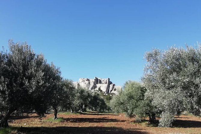 Saint Remy, Les Baux and Pont du Gard Small Group Half-Day Trip - Who should book this tour