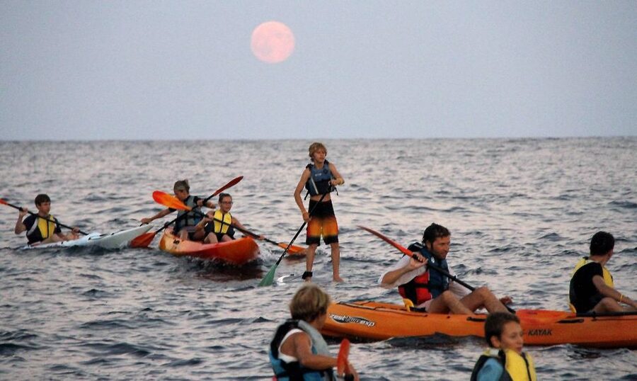 Saint-Tropez: Kayak Experience in Ramatuelle Reserve - Along the coast toward Cap Camarat
