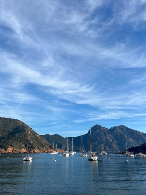 Scandola, Piana & Girolata - Is $141 good value for six hours?