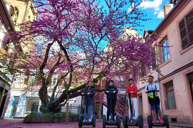 Segway Tours 2h in Colmar - Who will enjoy this most?