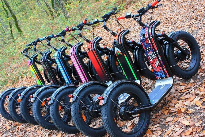 Seignosse electric scooter excursion - Following sandy paths through the Landes forest