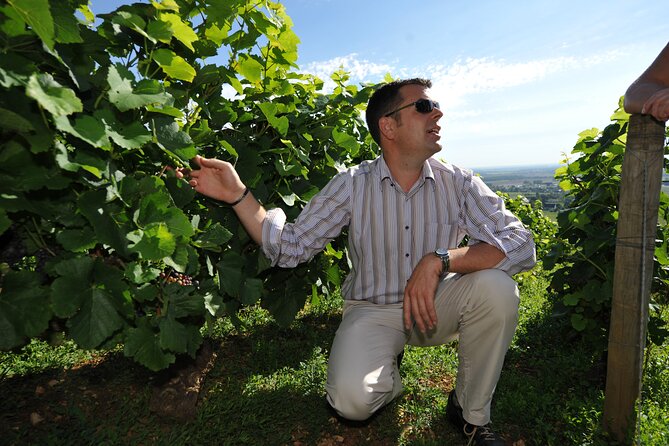 Small group Burgundy tour of Beaune with Wine Tasting from Dijon - The value of a small group