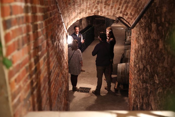 Small Group - Full Day Champagne Tour 3 Small Champagne Growers - Lunch at Why Not in the Champagne region