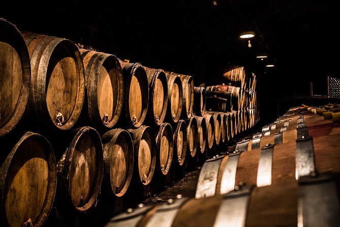 Small-Group Full-Day Tour of Côte de Nuits, Côte de Beaune Vineyards and Beaune Historical District - Key points to know before booking