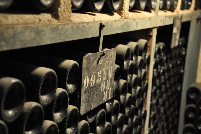 Small-Group Full-Day Tour of Côte de Nuits, Côte de Beaune Vineyards and Beaune Historical District - The first cellar: Burgundy at a more personal scale