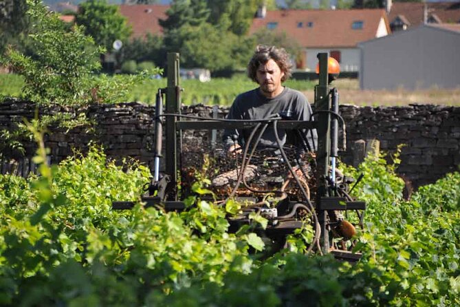 Small-Group Full-Day Tour of Côte de Nuits, Côte de Beaune Vineyards and Beaune Historical District - Two hours in Beaune for lunch and old streets