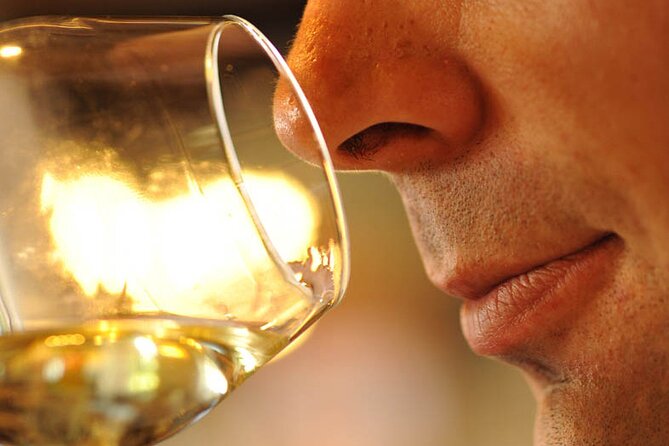Small-Group Full-Day Tour of Côte de Nuits, Côte de Beaune Vineyards and Beaune Historical District - What the wine tasting is really worth