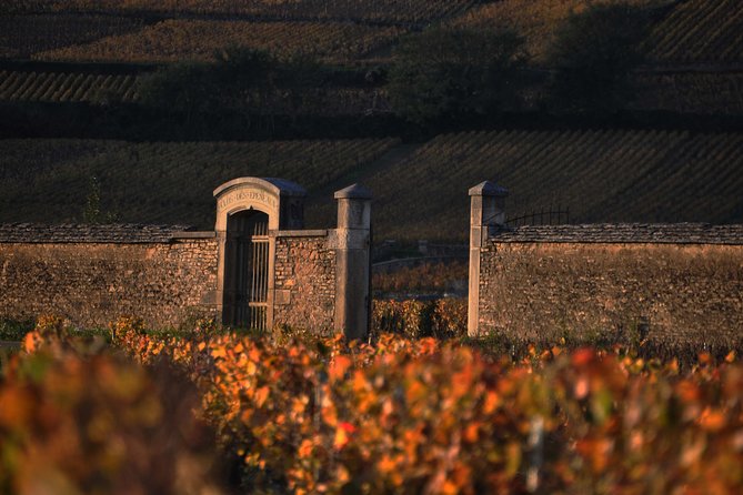 Small-Group Full-Day Tour of Côte de Nuits, Côte de Beaune Vineyards and Beaune Historical District - The small group and the guide make the difference