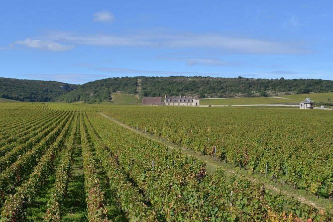 Small-Group Full-Day Tour of Côte de Nuits, Côte de Beaune Vineyards and Beaune Historical District - Leaving Dijon for the Côte de Nuits