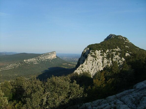 Small-Group Half-Day Languedoc Pic Saint-Loup Wine Tour from Montpellier - Key points at a glance