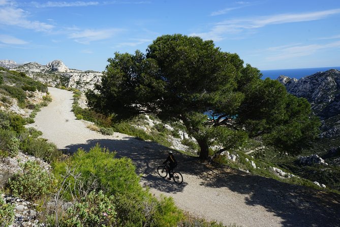 Sormiou Calanques National Park Electric Bike Tour from Marseille - Weather, park access, and cancellation details
