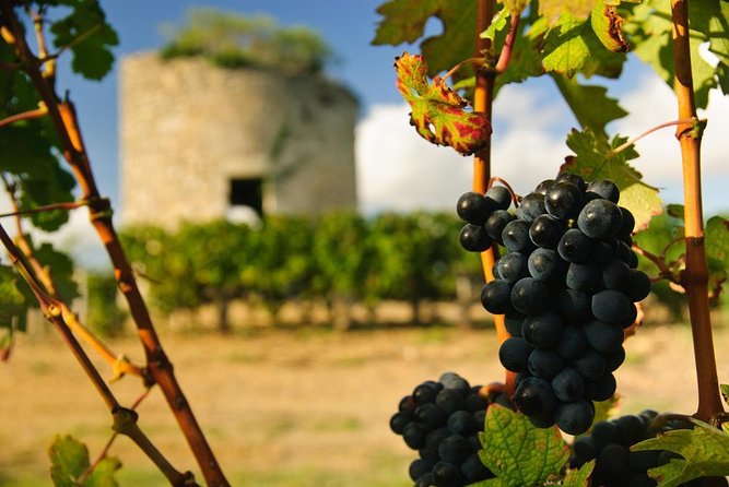 St-Emilion & Médoc Wine Day Tour: Chateaus, Tastings and Lunch - The day at a glance