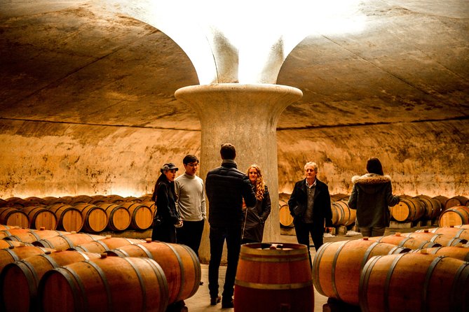St-Emilion & Médoc Wine Day Tour: Chateaus, Tastings and Lunch - Starting in Bordeaux at 9:00 a.m.