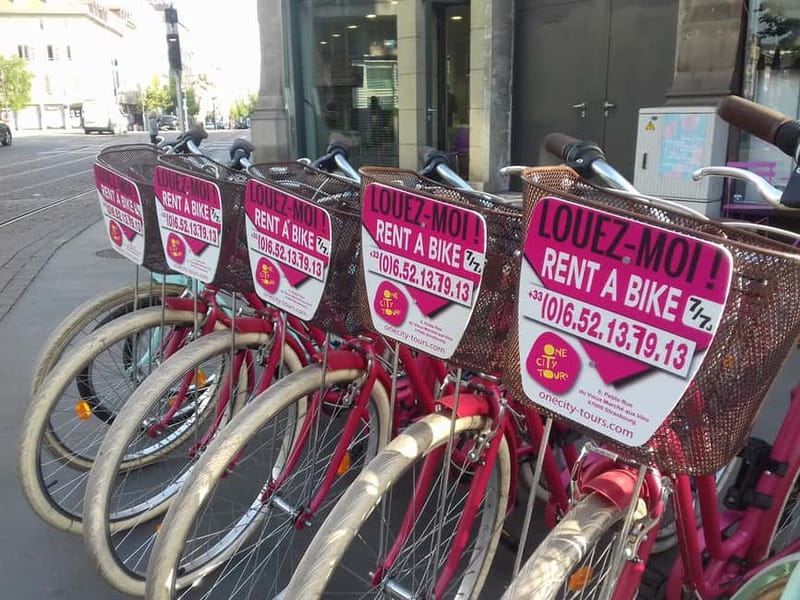 Strasbourg: Bike Tour with a Guide bikes included - Crossing into Neustadt
