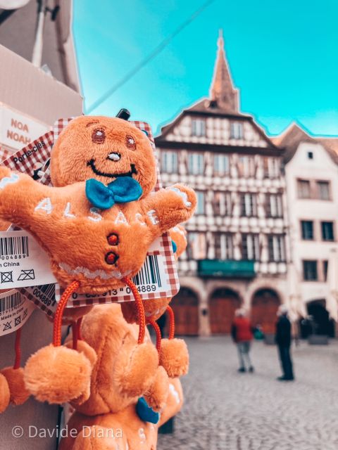 Strasbourg: Guided Historical Neighborhoods Walking Tour - Group size, walking comfort, and timing