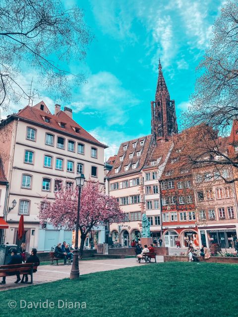 Strasbourg: Guided Historical Neighborhoods Walking Tour - Place Kléber and Strasbourg’s Christmas tradition