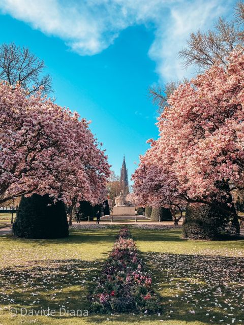 Strasbourg: Guided Historical Neighborhoods Walking Tour - Starting at Place de la République