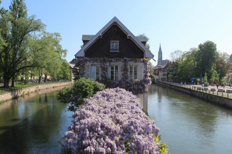 Strasbourg: Walking Tour with Local Guide - Covered bridges and the first view of Petite France
