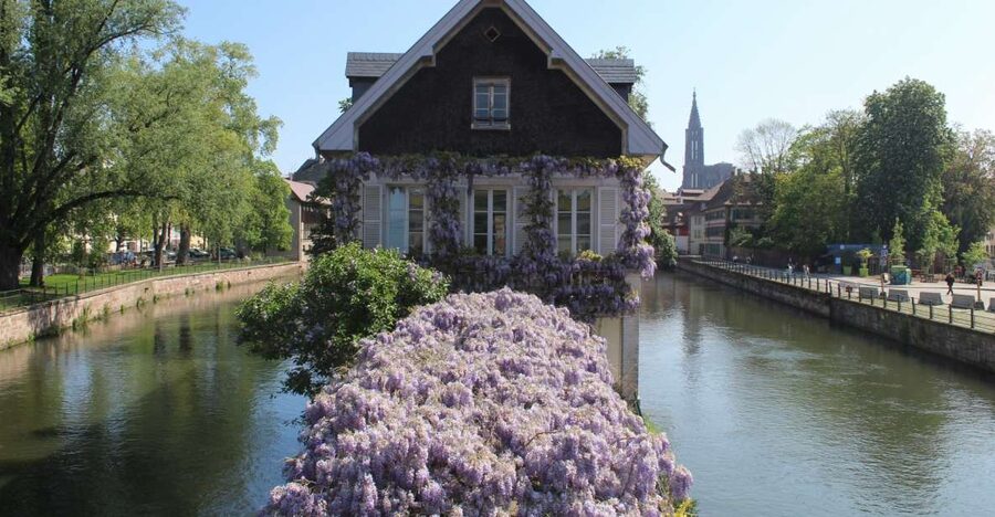 Strasbourg: Walking Tour with Local Guide - Starting near Place d’Austerlitz