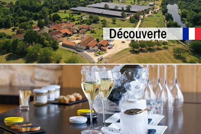 Sturgeon Fish-Farm Visit and Caviar Discovery Tasting in Neuvic - Key points at a glance
